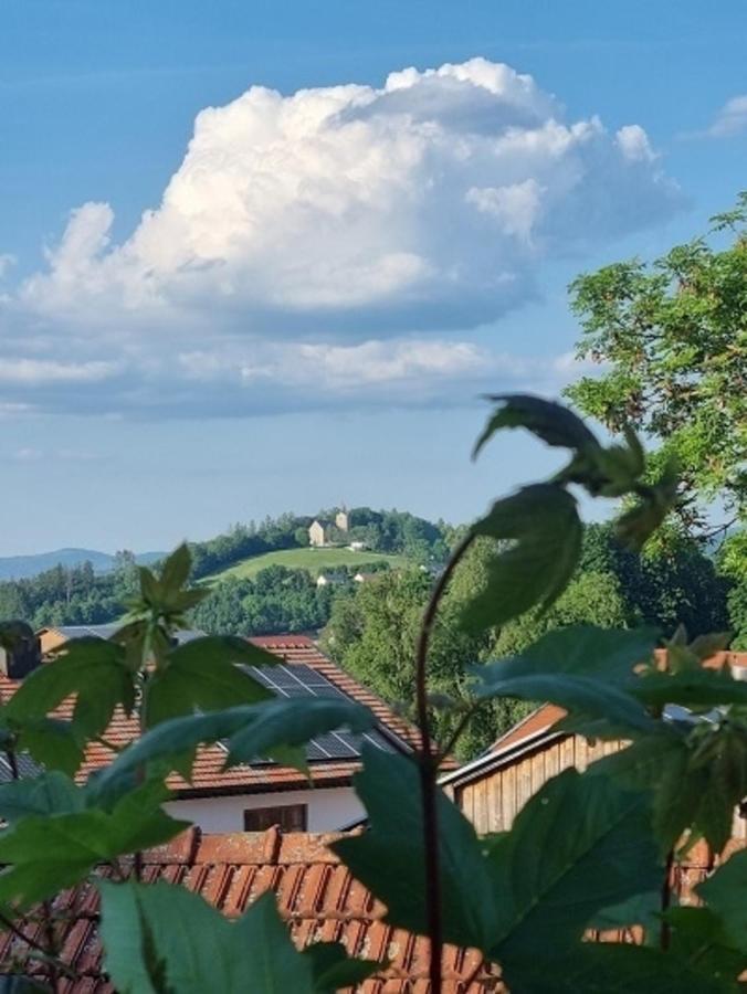 Ferienwohnung Augustin Kirchberg  Екстериор снимка